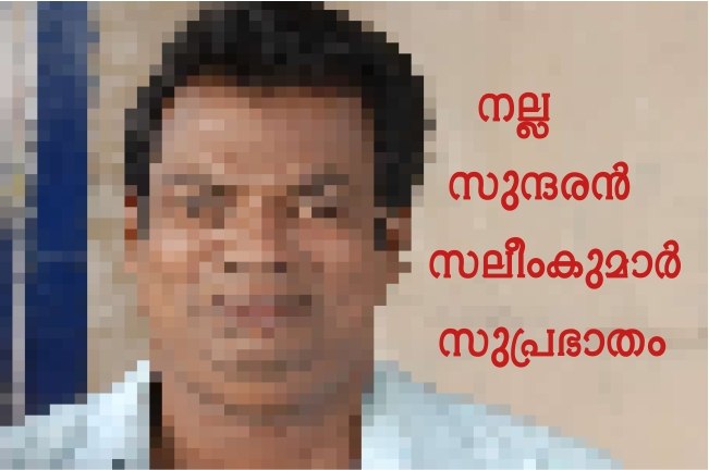 നല്ല സുന്ദരൻ സലീം കുമാർ പ്രഭാതത്തിൽ രാഷ്ട്രീയം ഹാജരുണ്ടോ?