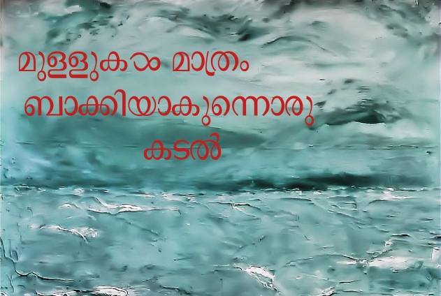 മുള്ളുകള് മാത്രം ബാക്കിയാകുന്നൊരു കടലിനെക്കുറിച്ച്