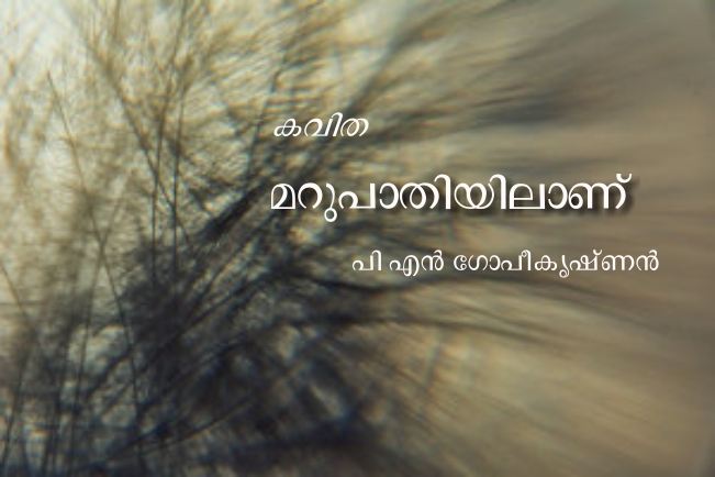 മറുപാതിയിലാണ്