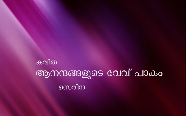 ആനന്ദങ്ങളുടെ വേവ് പാകം – സെറീന