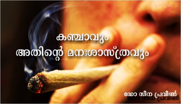 കഞ്ചാവും അതിന്റെ മനഃശാസ്ത്രവും – ഡോ സീന പ്രവീൺ