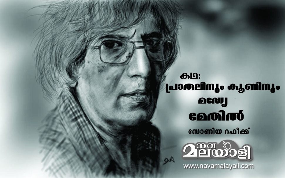 പ്രാതലിനും കൂണിനും മദ്ധ്യേ മേതിൽ- കഥ: സോണിയ റഫീക്ക്