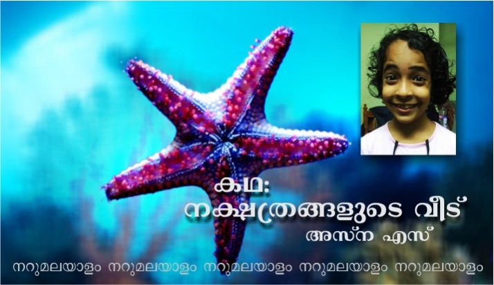 നക്ഷത്രങ്ങളുടെ വീട് – കഥ: അസ്ന എസ്