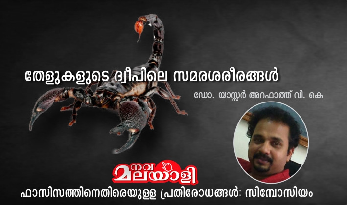 തേളുകളുടെ ദ്വീപിലെ സമര-ശരീരങ്ങള് – യാസ്സര് അറഫാത്ത് വി. കെ
