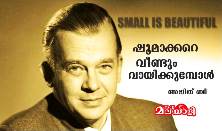ഷൂമാക്കറെ വീണ്ടും വായിക്കുമ്പോൾ – അജിത് ബി.