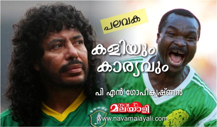 കളിയും കാര്യവും: പി.എൻ. ഗോപീകൃഷ്ണൻ