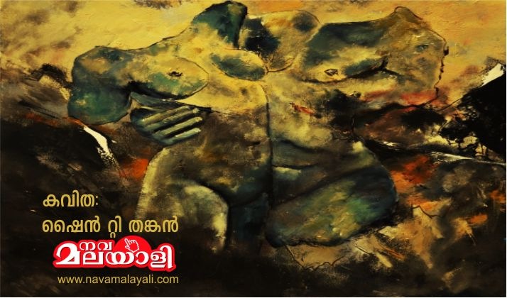 ആകാശം വരച്ചിട്ട രണ്ടു പേർ: കവിത – ഷൈൻ റ്റി തങ്കൻ