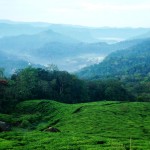 മൈത്രേയൻ രാഹുൽ ജോർജ്ജ് ഫോട്ടോഗ്രഫി ഫോട്ടോഗാലറി ഛായാഗ്രാഹണം നിശ്ചലച്ഛായാഗ്രഹണം