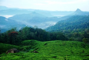 മൈത്രേയൻ രാഹുൽ ജോർജ്ജ് ഫോട്ടോഗ്രഫി ഫോട്ടോഗാലറി ഛായാഗ്രാഹണം നിശ്ചലച്ഛായാഗ്രഹണം