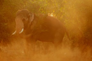 മൈത്രേയൻ രാഹുൽ ജോർജ്ജ് ഫോട്ടോഗ്രഫി ഫോട്ടോഗാലറി ഛായാഗ്രാഹണം നിശ്ചലച്ഛായാഗ്രഹണം