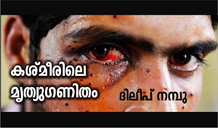 കശ്മീരിലെ മൃത്യുഗണിതം – ദിലീപ് നമ്പു