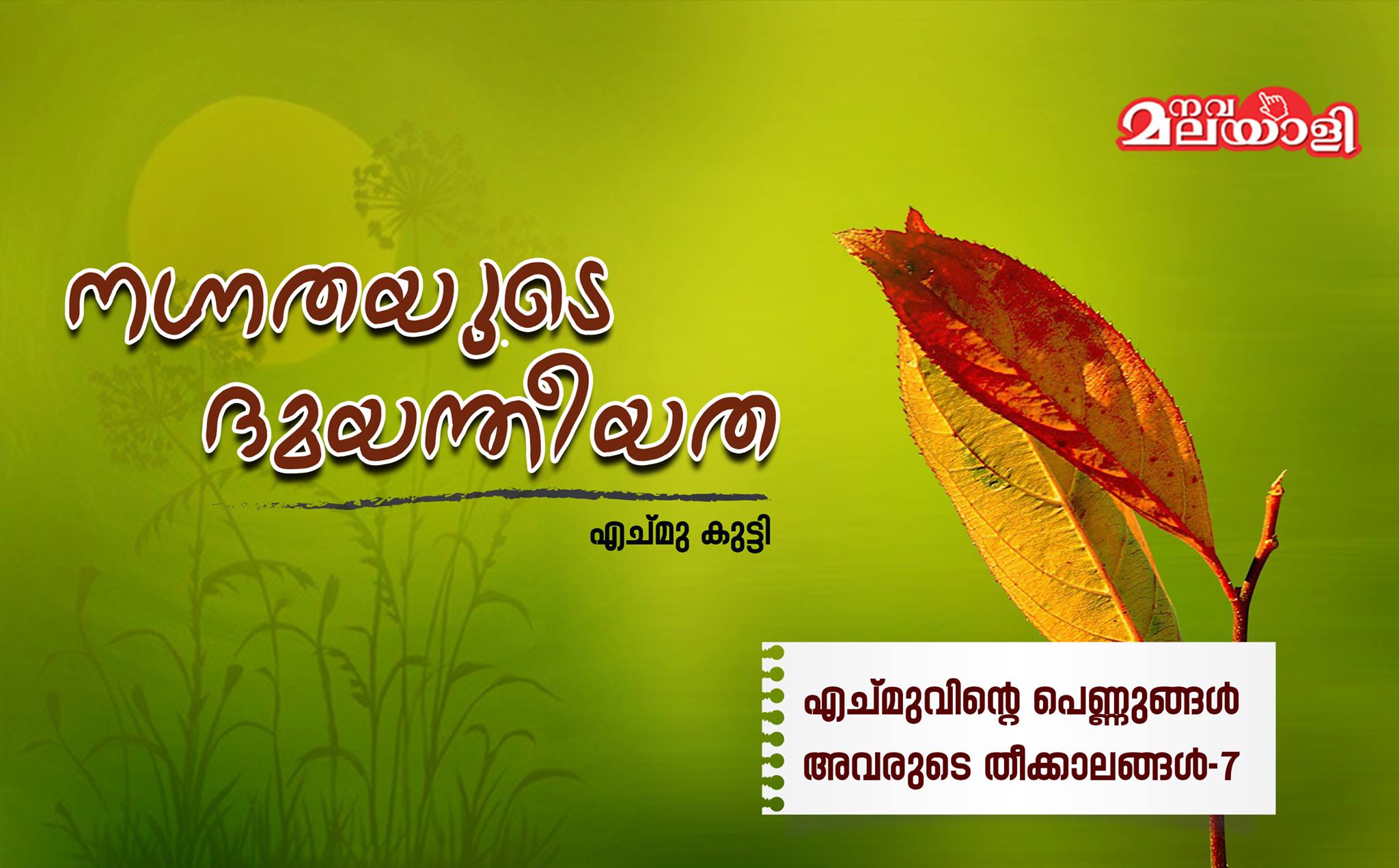 നഗ്നതയുടെ ദമയന്തീയത