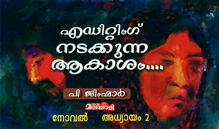 എഡിറ്റിംഗ് നടക്കുന്ന ആകാശം – നോവൽ: അധ്യായം-2