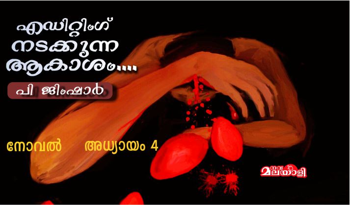 എഡിറ്റിംഗ് നടക്കുന്ന ആകാശം – നോവൽ: അധ്യായം-4