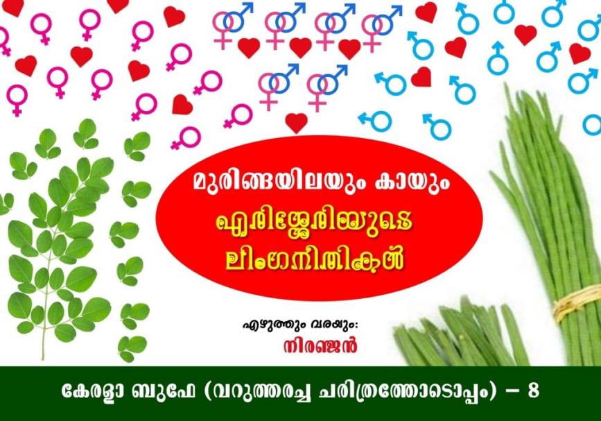 മുരിങ്ങയിലയും കായും – എരിശ്ശേരികളുടെ ലിംഗനീതികൾ : നിരഞ്ജൻ