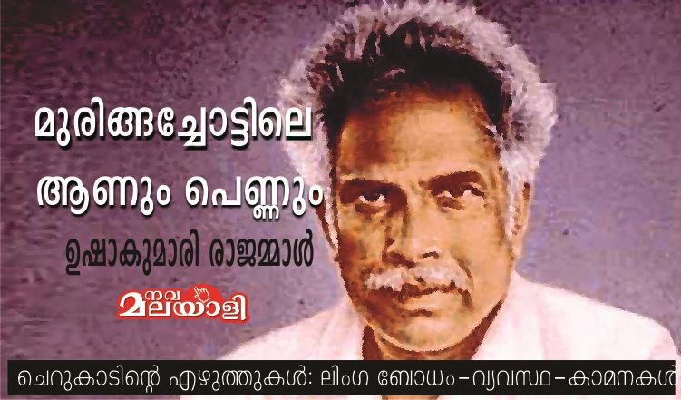 മുരിങ്ങച്ചോട്ടിലെ ആണും പെണ്ണും – ഉഷാകുമാരി രാജമ്മാൾ