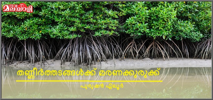 തണ്ണീർത്തടങ്ങൾക്ക് മരണക്കുരുക്ക്