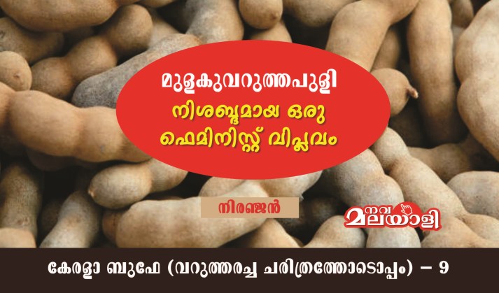 മുളകുവറുത്തപുളി – നിശബ്ദമായ ഒരു ഫെമിനിസ്റ്റ് വിപ്ലവം: നിരഞ്ജൻ