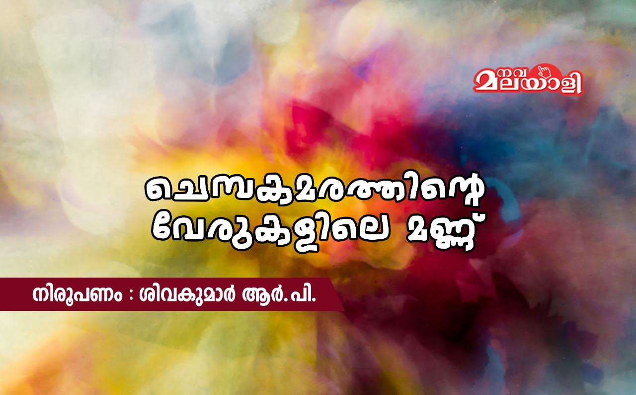 ചെമ്പകമരത്തിന്റെ വേരുകളിലെ മണ്ണ്