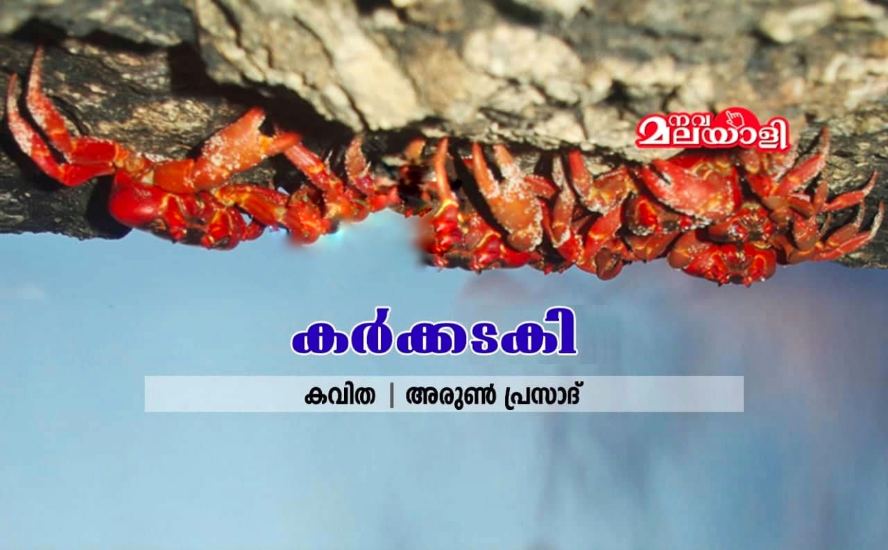 കർക്കടകി