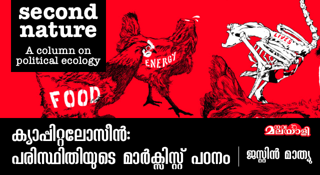 ക്യാപ്പിറ്റലോസീന്: പരിസ്ഥിതിയുടെ മാര്ക്സിസ്റ്റ് പഠനം