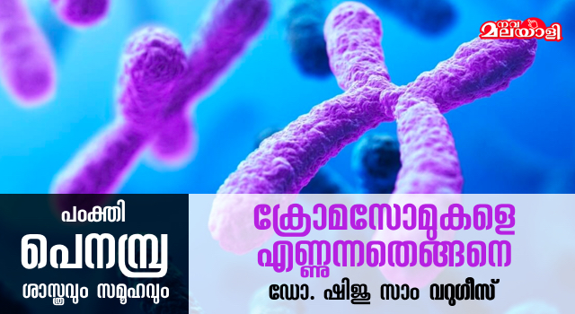ക്രോമസോമുകളെ എണ്ണുന്നതെങ്ങനെ?