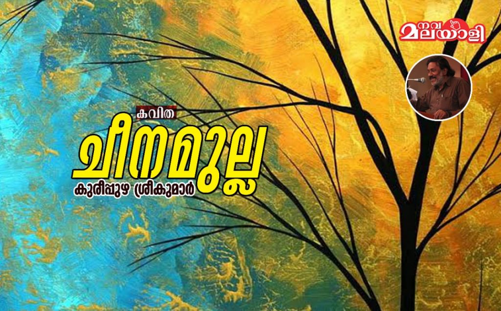 ചീനമുല്ല