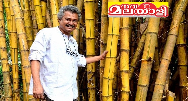 അന്‍വര്‍ അലിയുടെ വൃത്തസങ്കല്പം