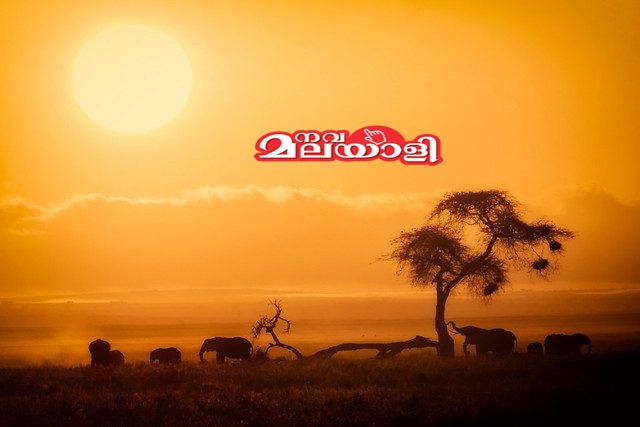 ചതുപ്പുലോകം (കെനിയായനം-7)