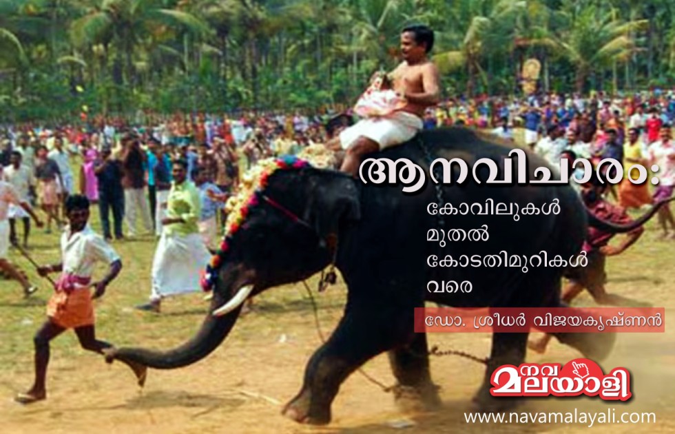 ആനവിചാരം: കോവിലുകൾ മുതൽ കോടതിമുറികൾ വരെ – ഡോ. ശ്രീധർ വിജയകൃഷ്ണൻ